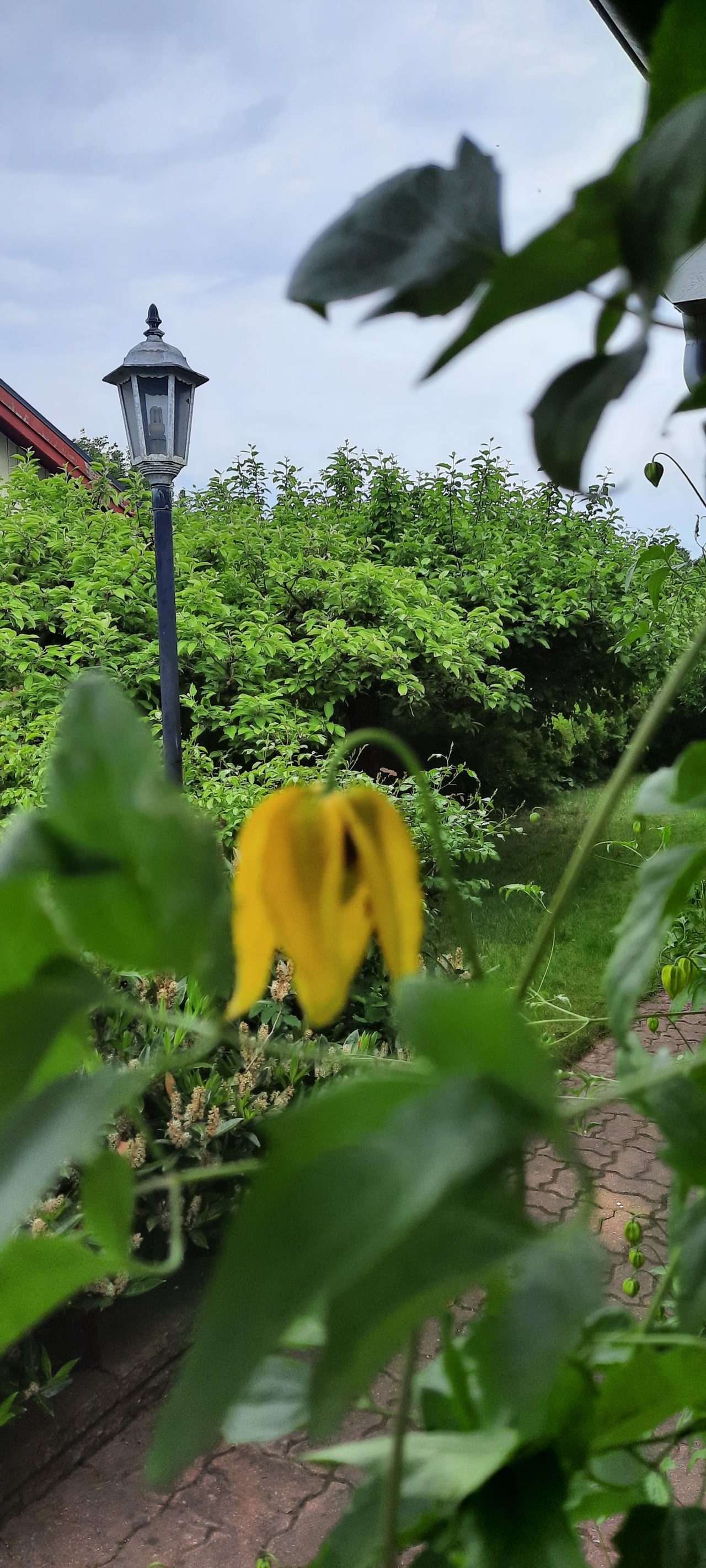 Fjälketorpsvägen 32