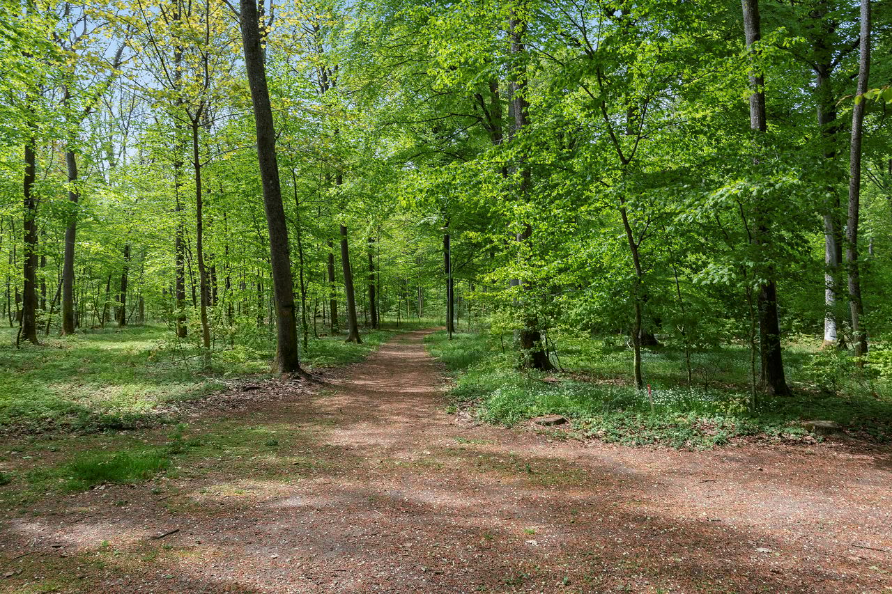 Norra Solhällevägen 16