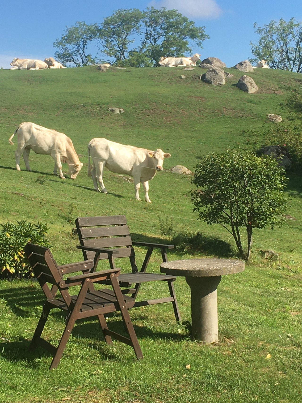 Norra Solhällevägen 16