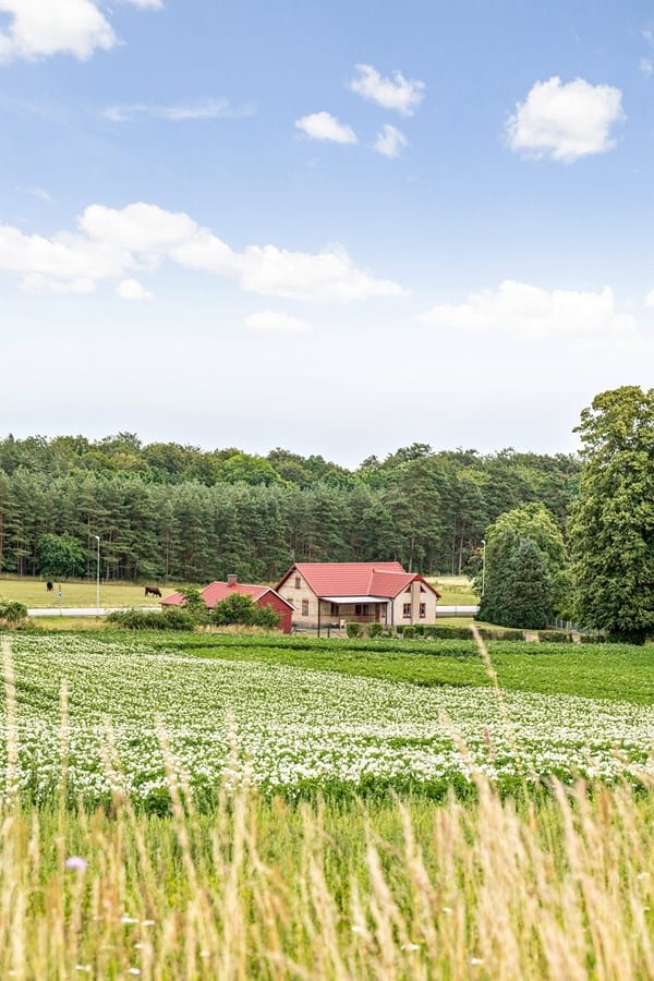 Dämmemöllavägen 300