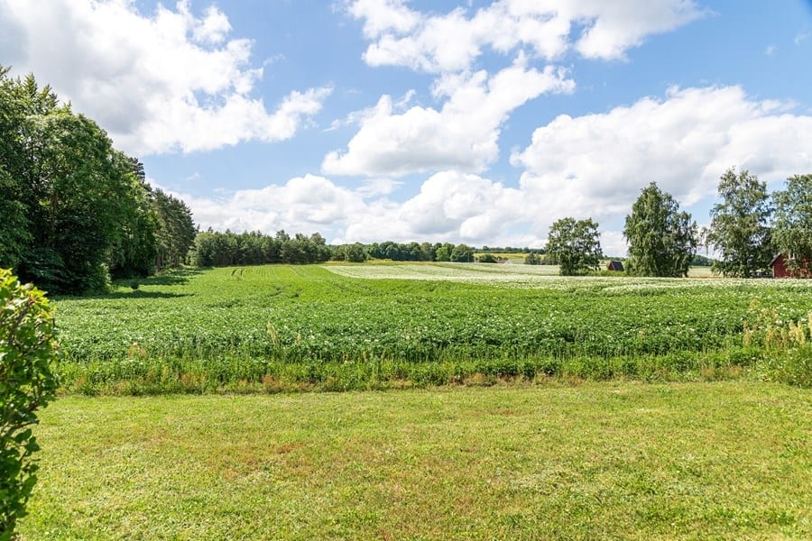 Dämmemöllavägen 300