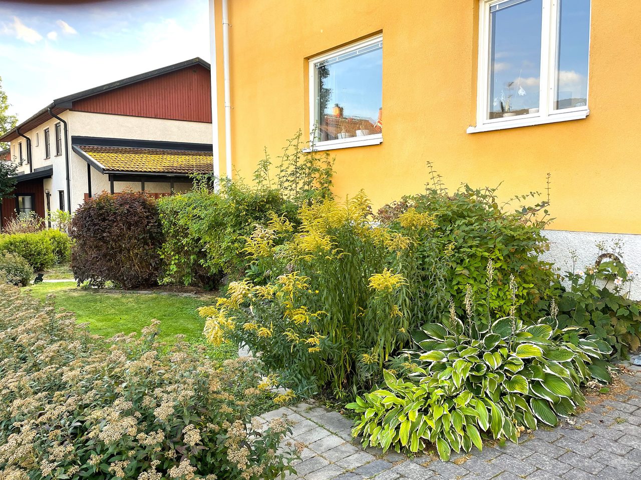 Agnegatan 5