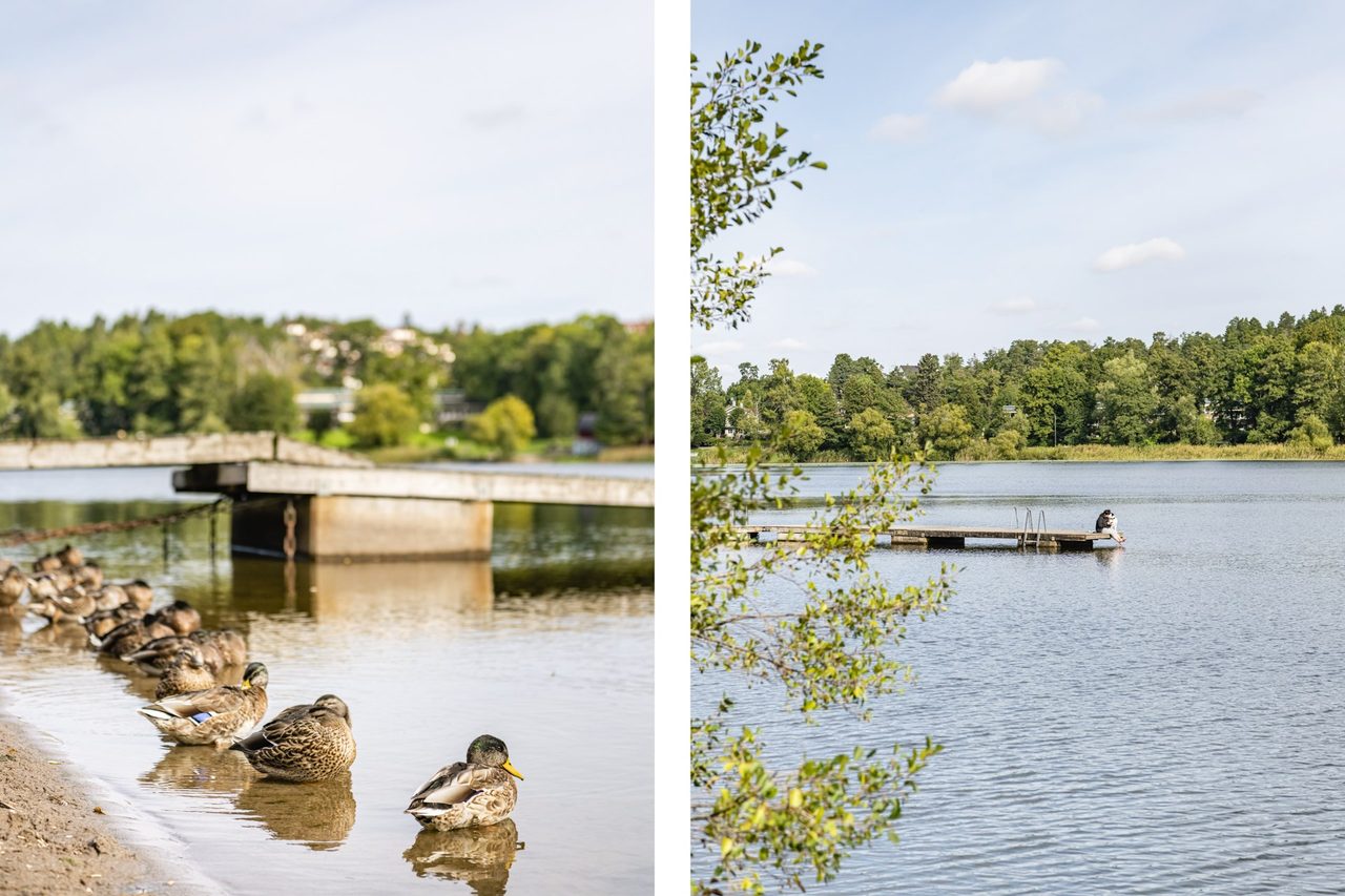 Thorsten Levenstams väg 13A