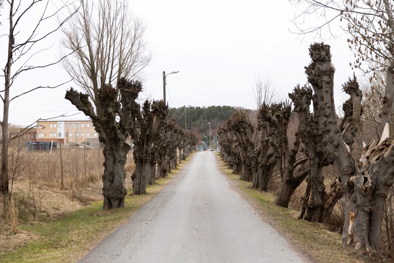 Margit Halls Gata 57