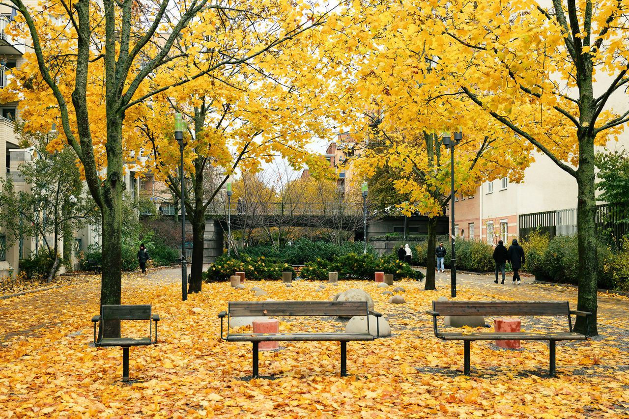 Magnus Ladulåsgatan 35