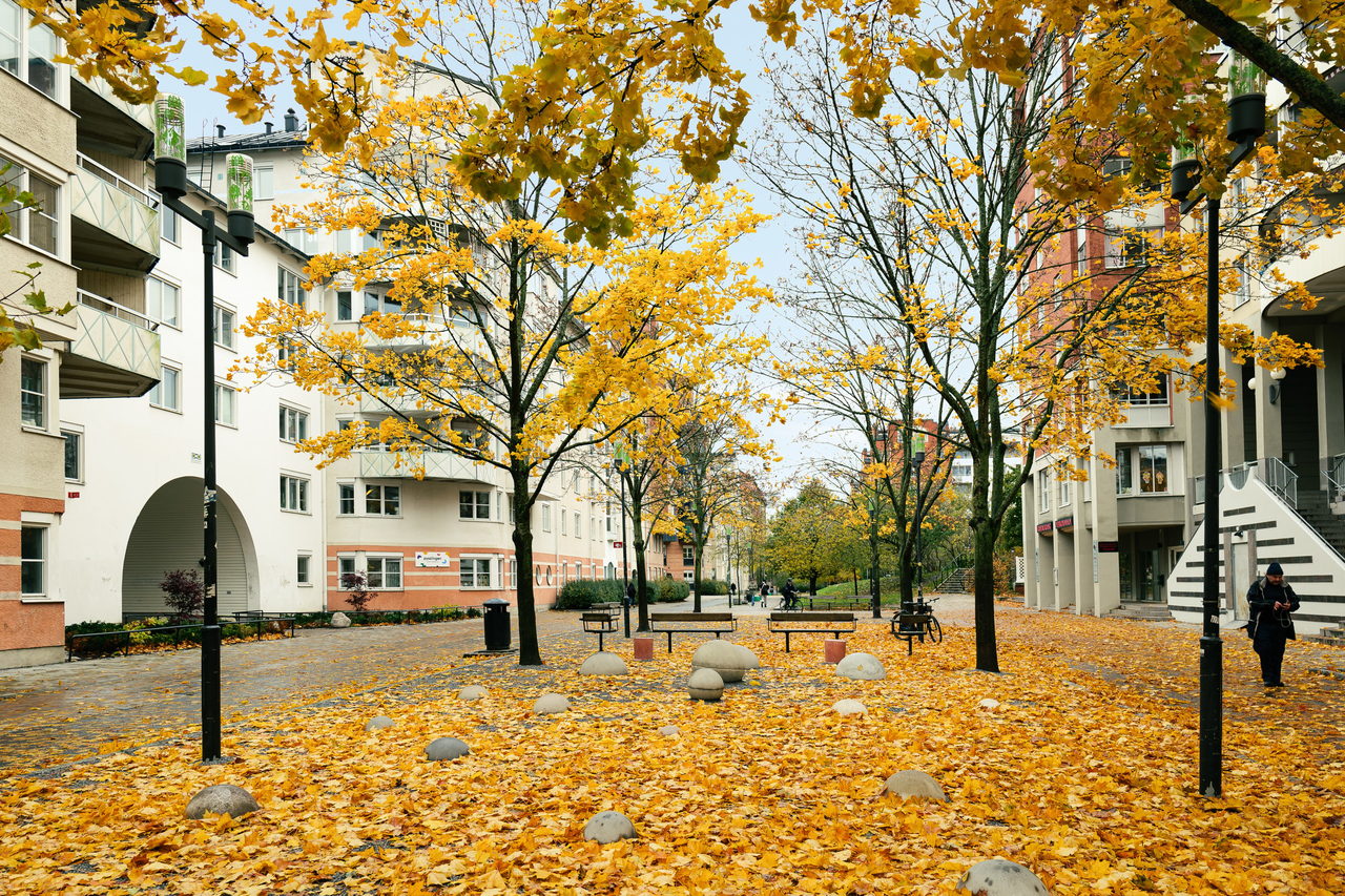 Magnus Ladulåsgatan 35