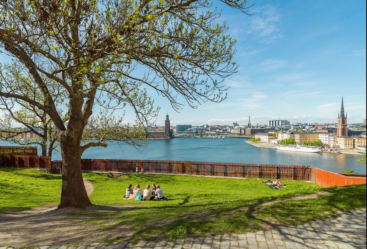 Nära till picknick vid Ivar Los park