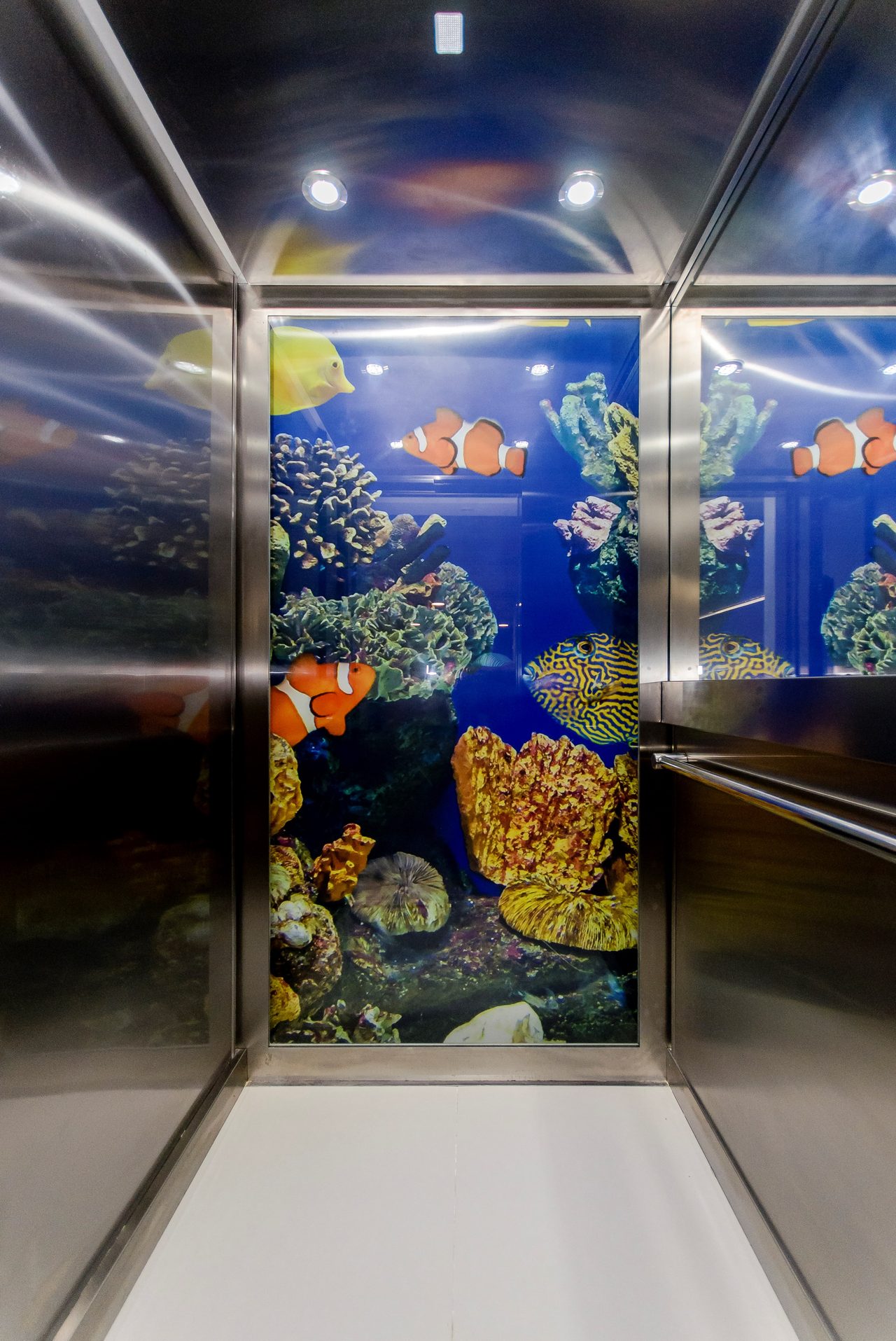 Amay Deluxe Campoamor