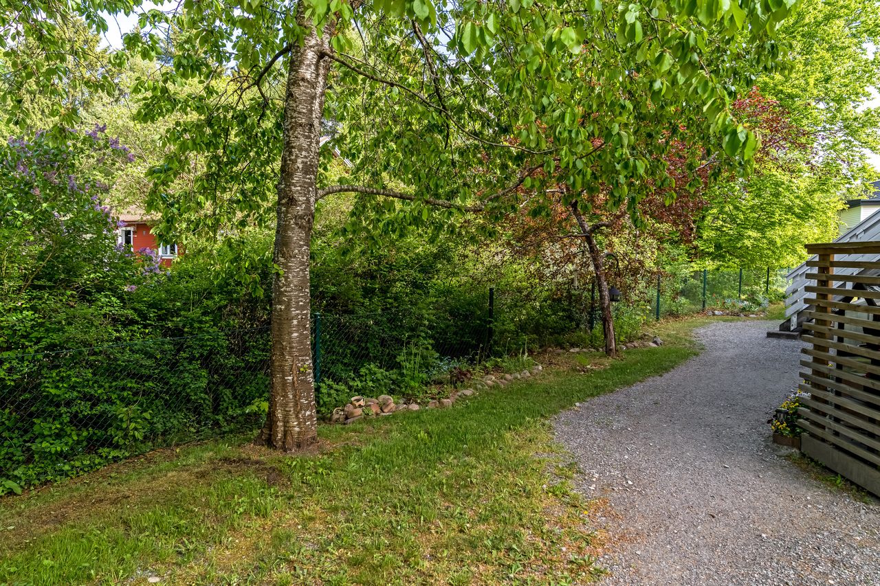 Björkvägen 12