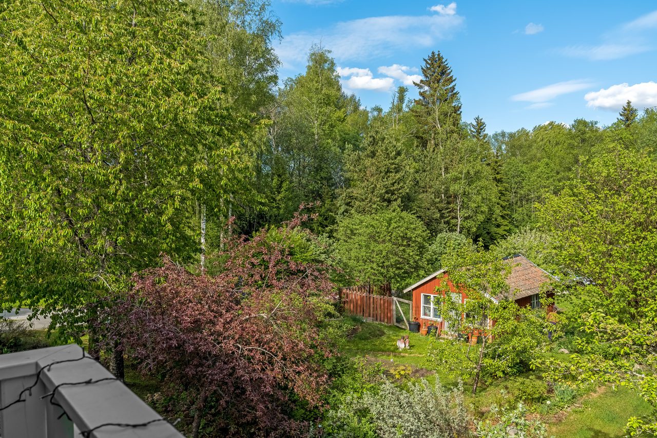 Björkvägen 12