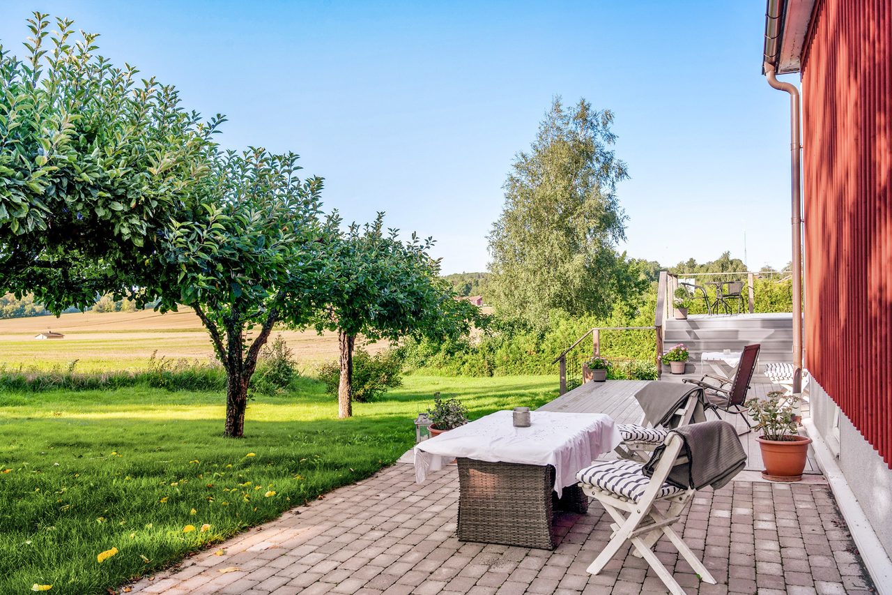 Uppväxt trädgård med vackra planteringar och äldre fruktträd