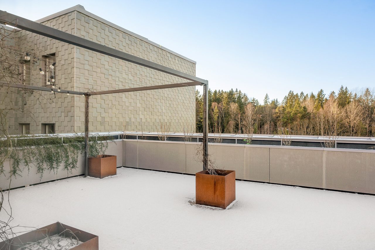 Föreningens takterrass