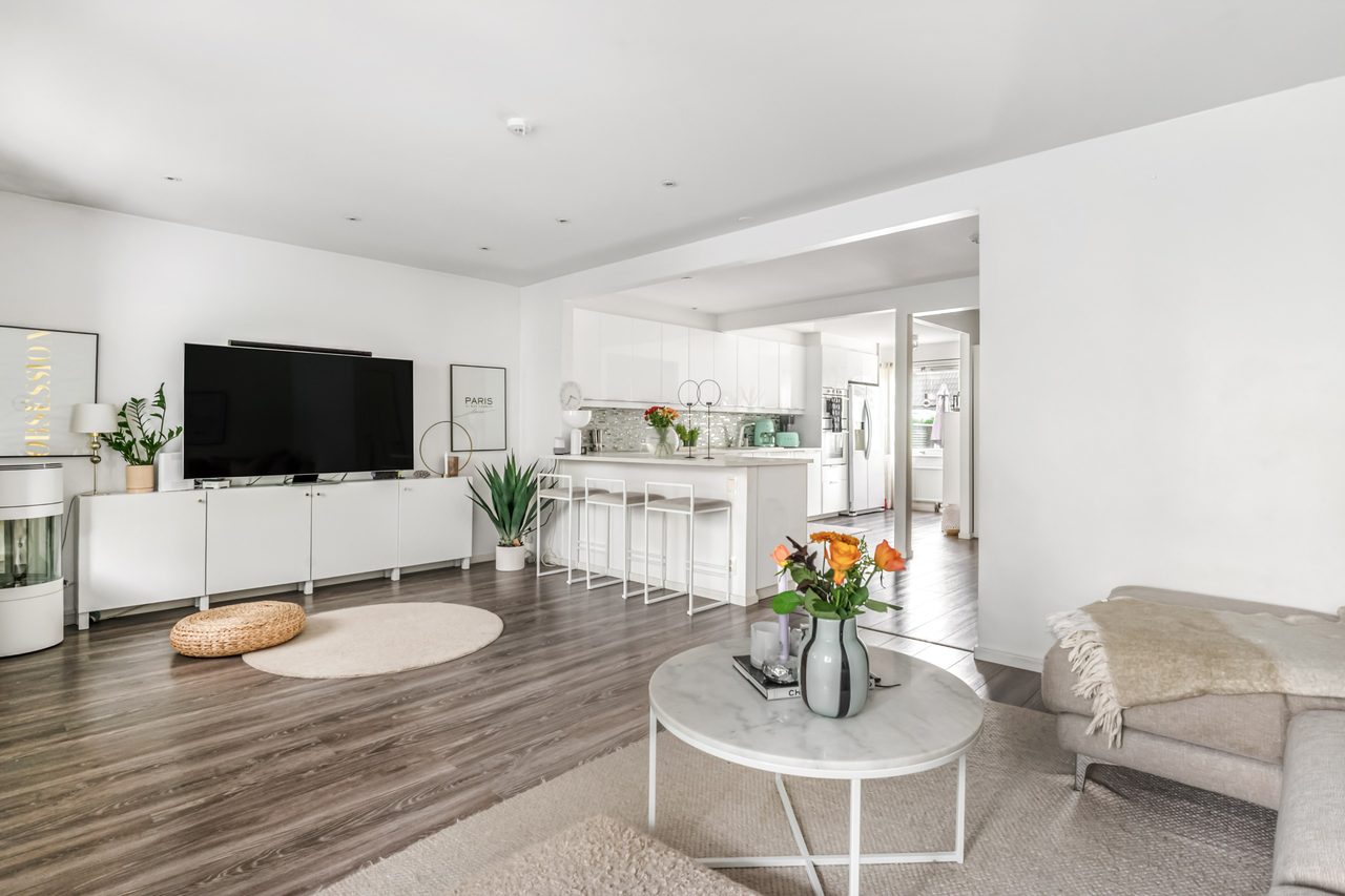 Järnåldersringen 519