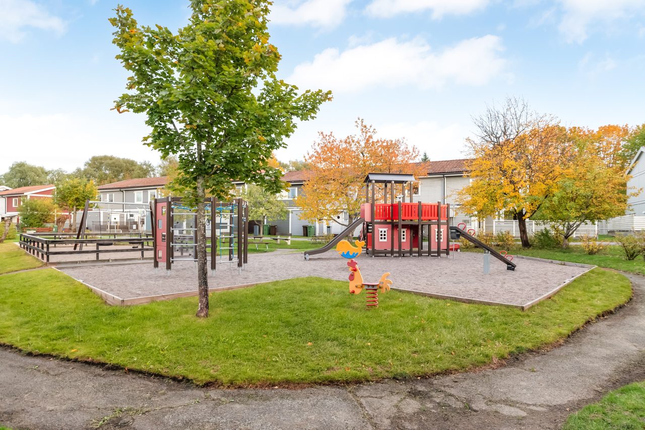 Järnåldersringen 519