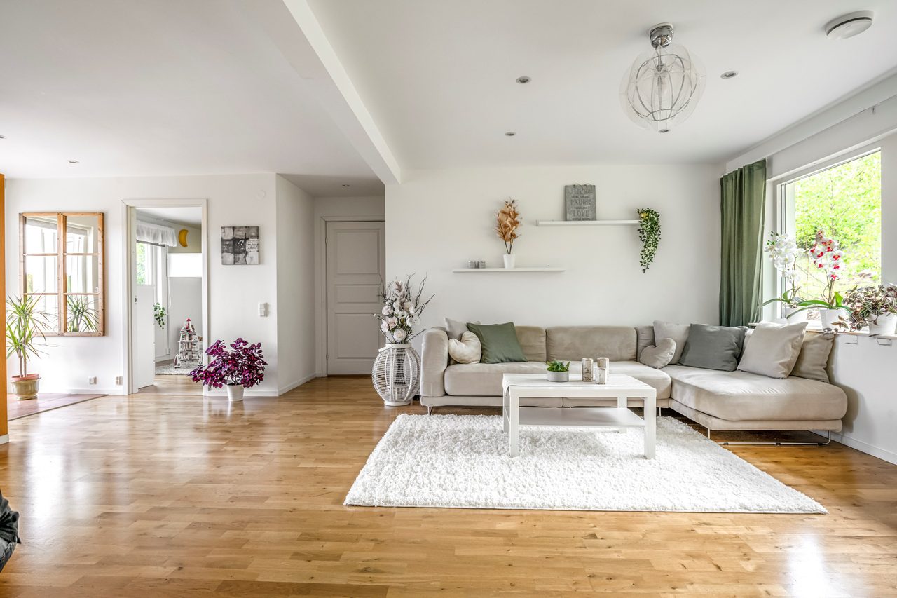 Luftig ytor och fint ljusinsläpp