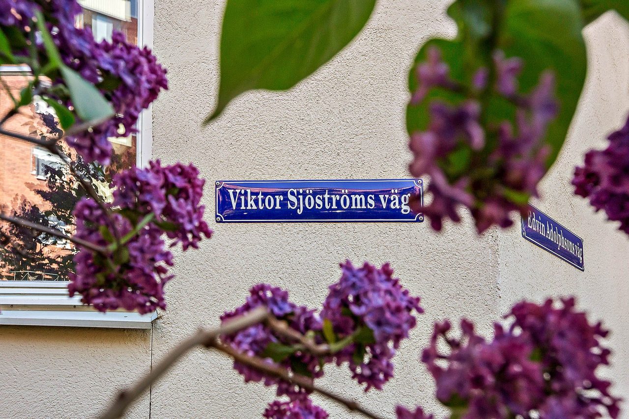 Viktor Sjöströms Väg 9