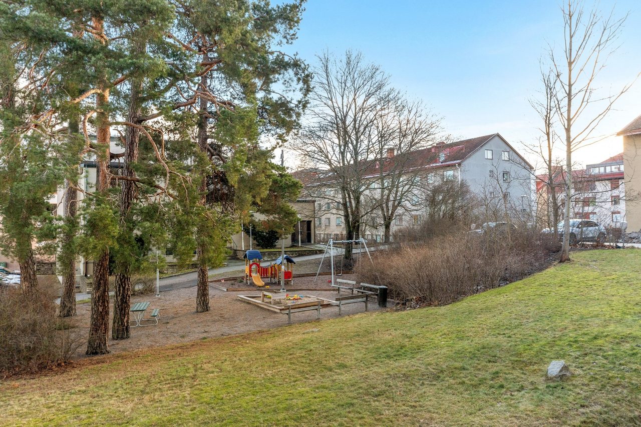 Från föreningens gård