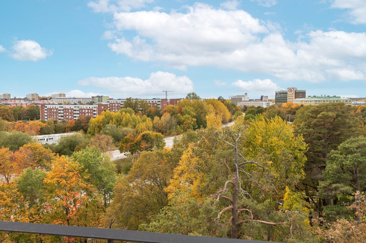 Utsikt från balkongen