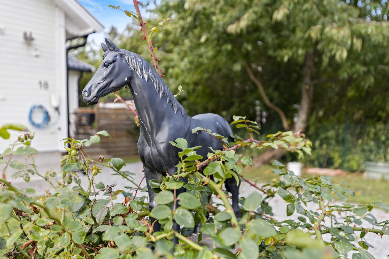 Trädgårdsodlarvägen 18