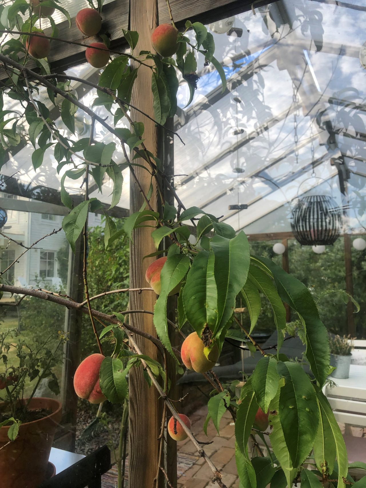 Rättarbodavägen 23