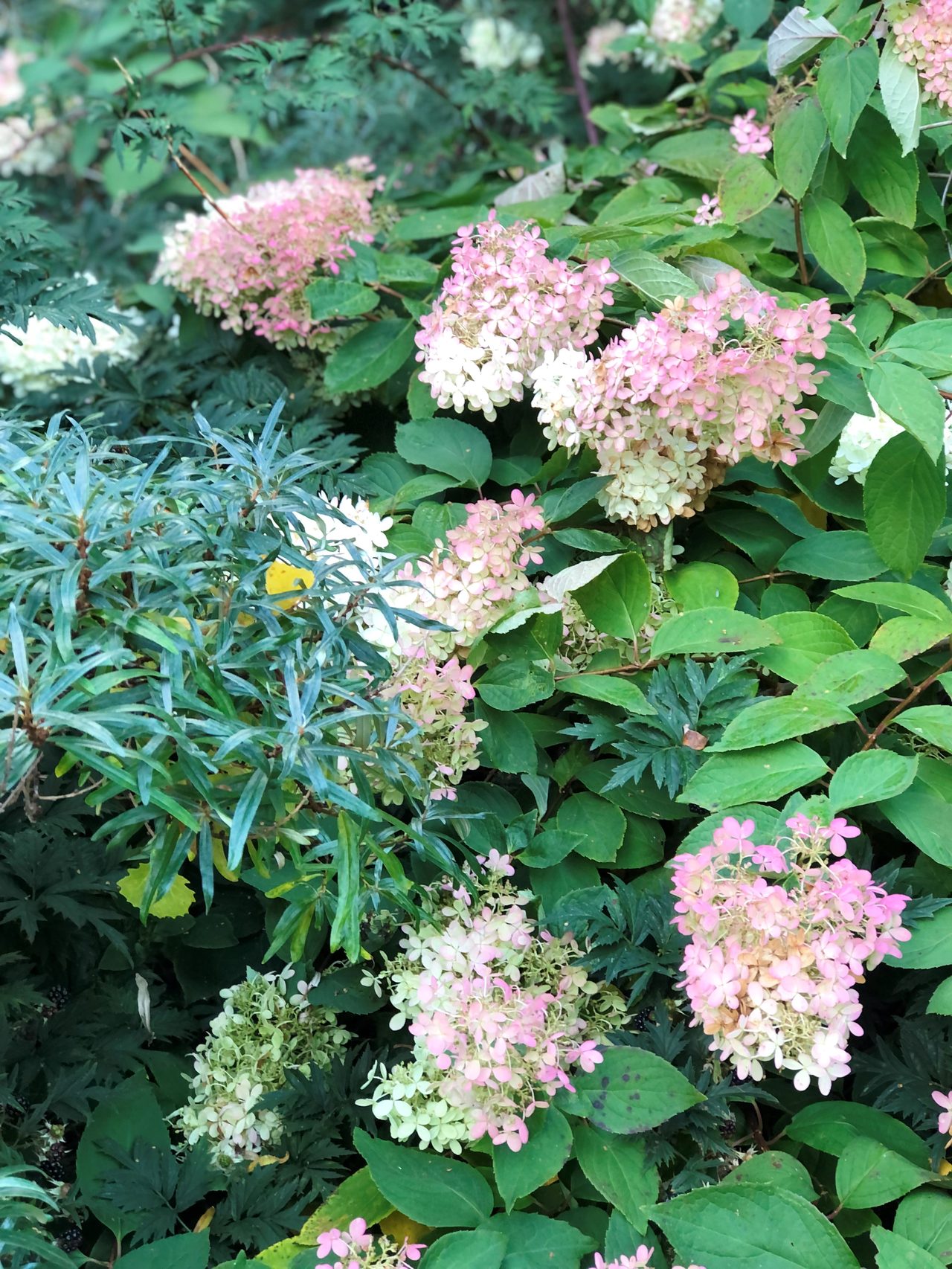 Rättarbodavägen 23