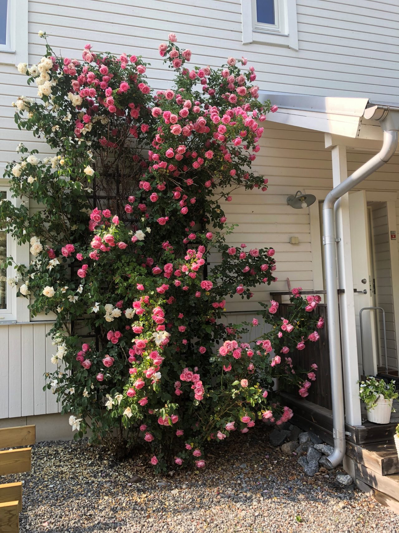 Rättarbodavägen 23