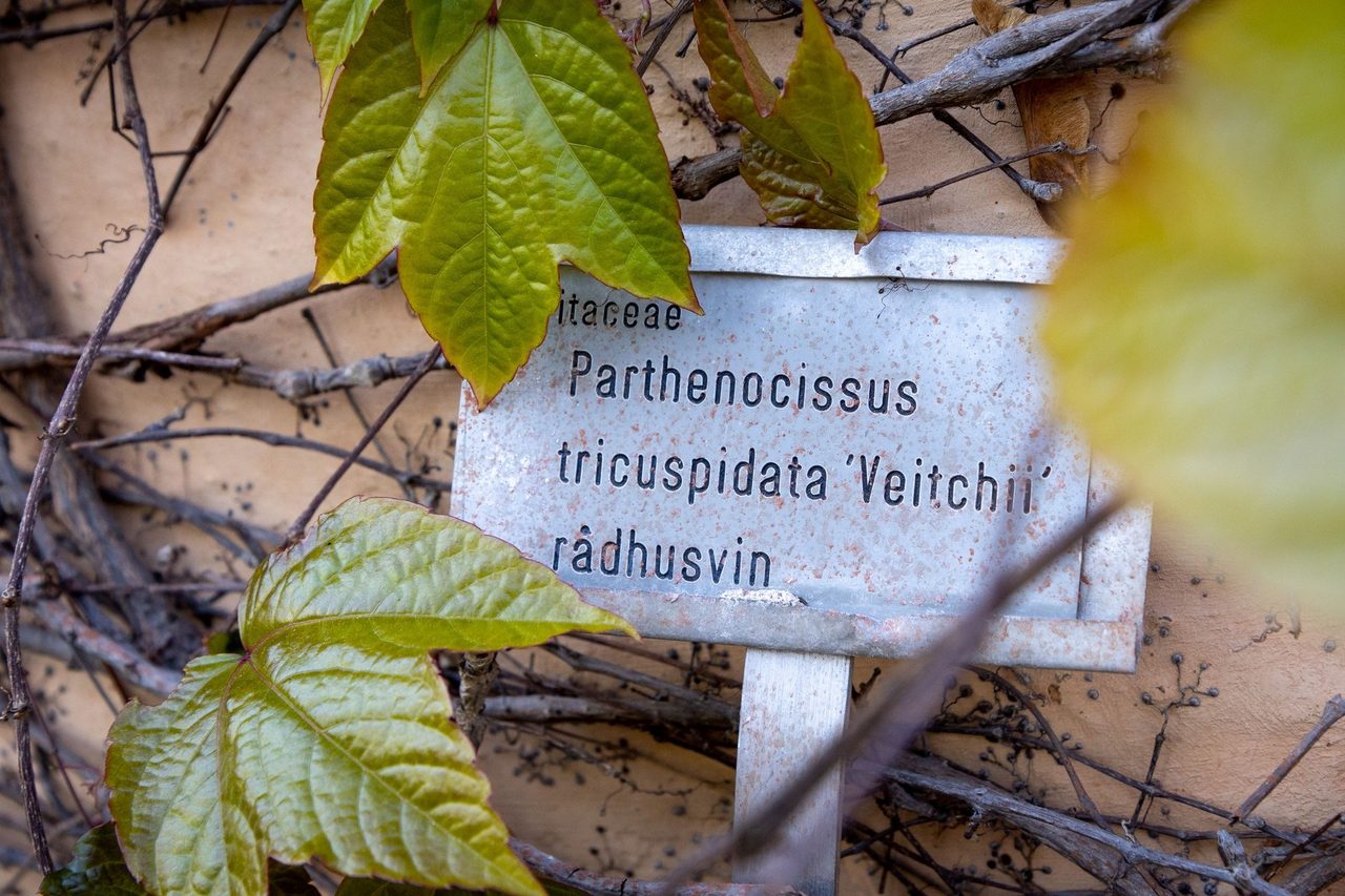 Magna Sunnerdahls väg 2