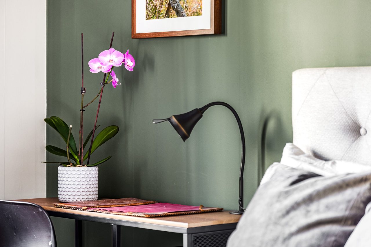 Anton Johanssons väg 12