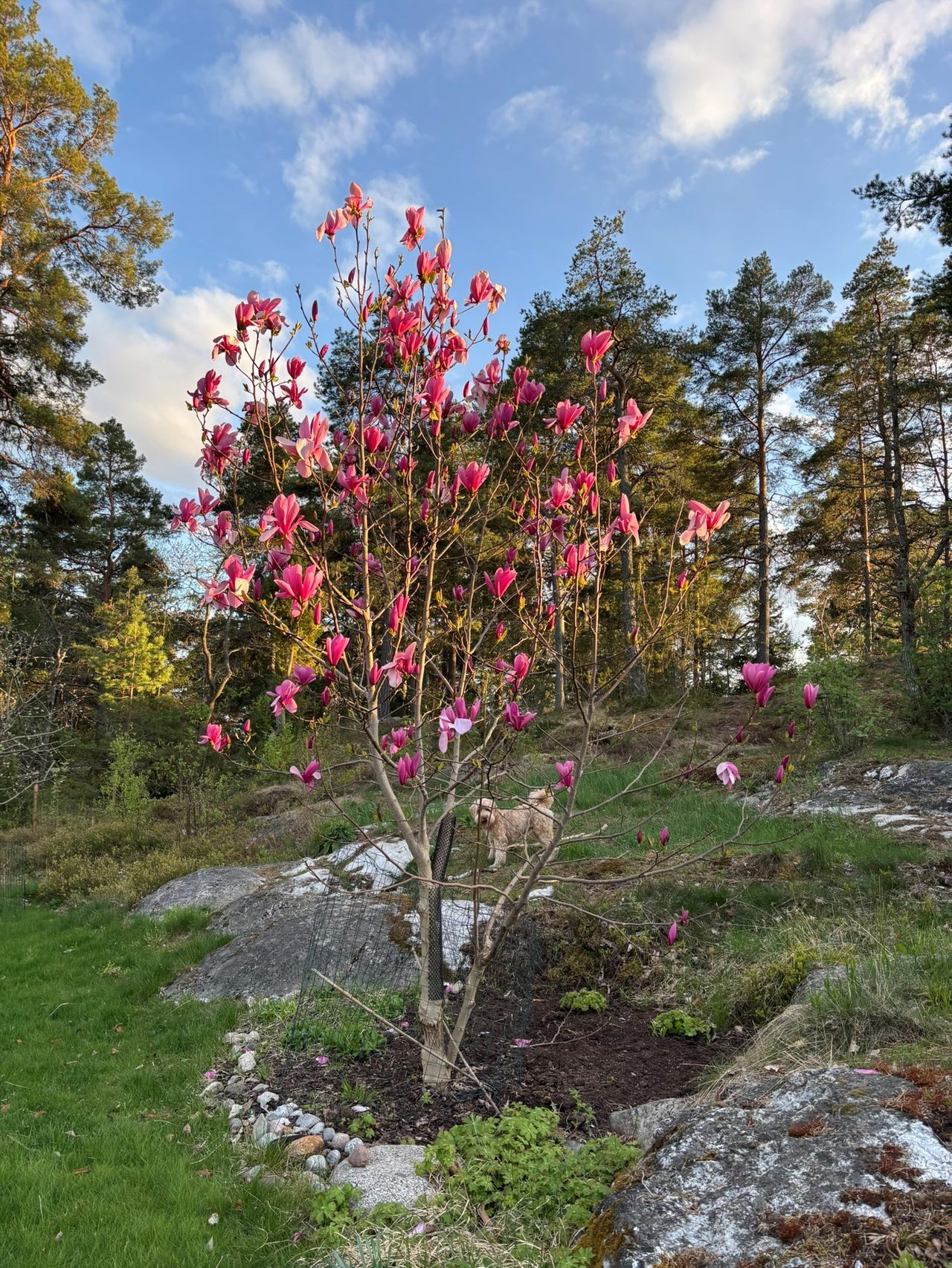 Kristinetorpsvägen 20