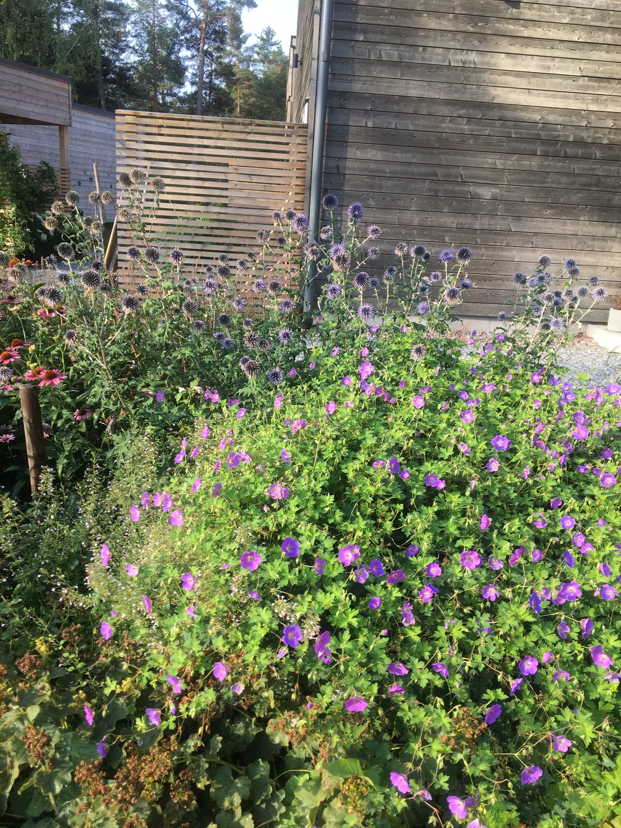 Kristinetorpsvägen 20