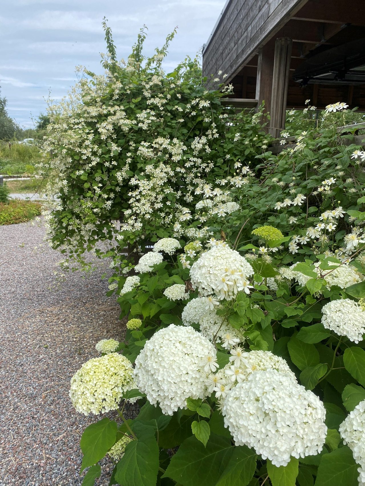 Kristinetorpsvägen 20