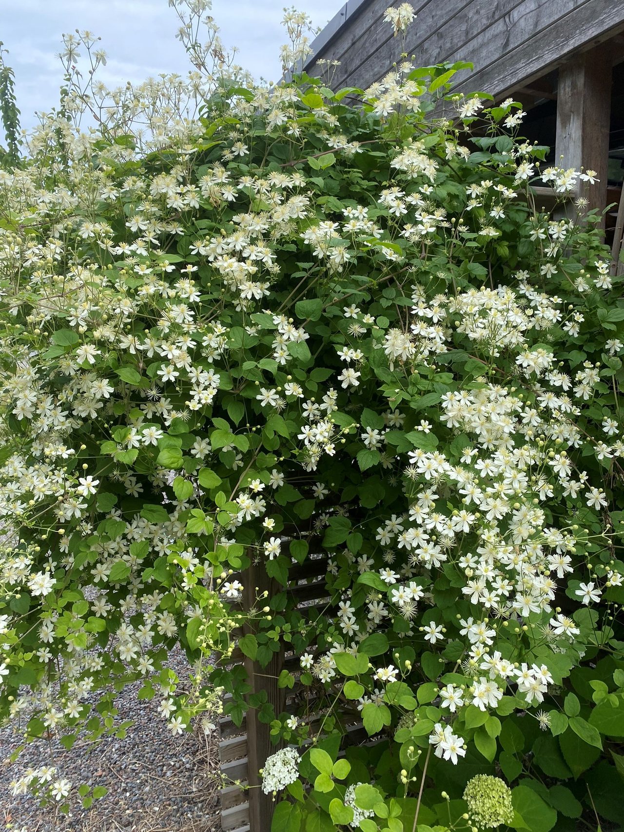 Kristinetorpsvägen 20