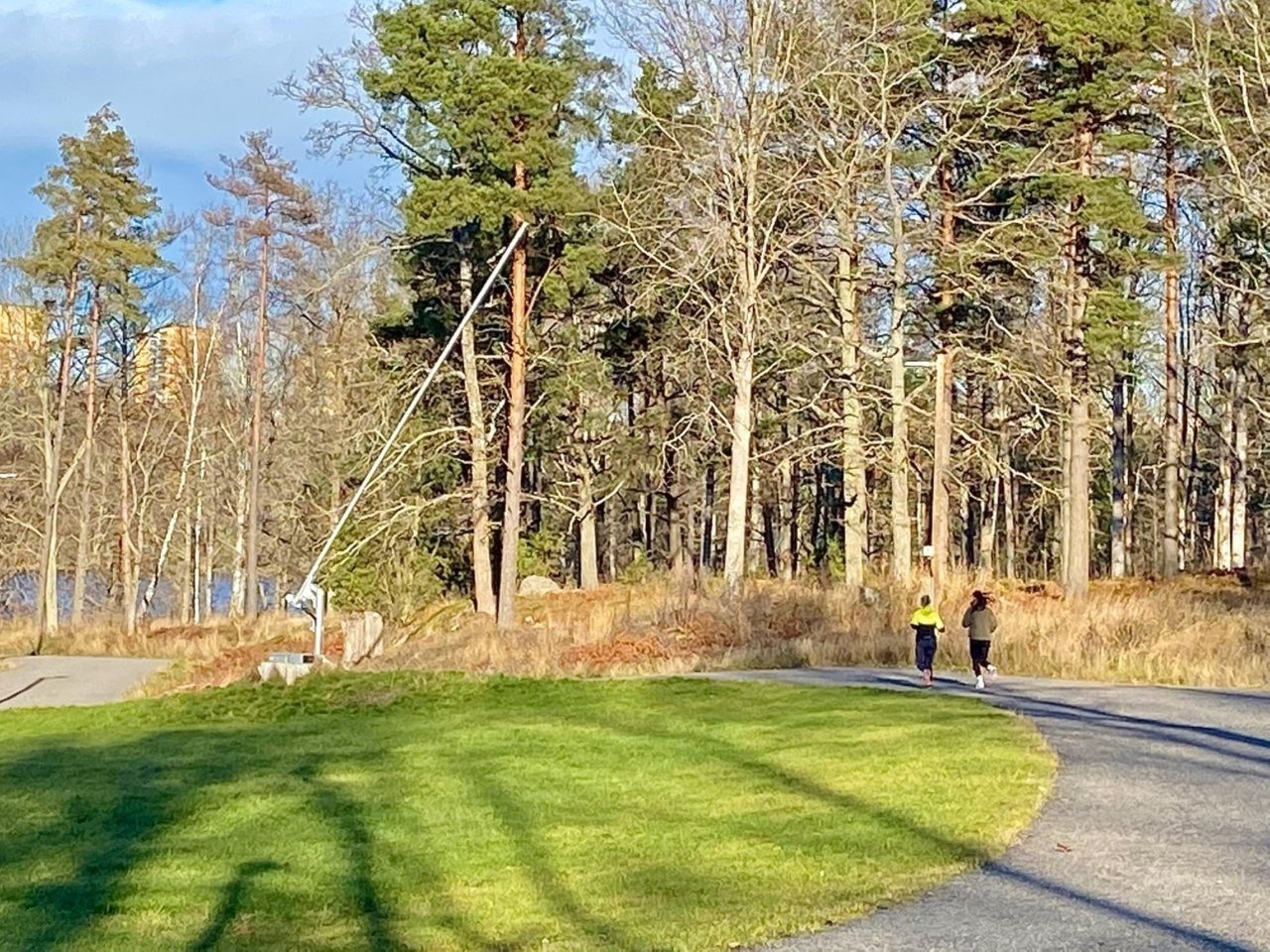 Ågesta friluftsområde löpspår