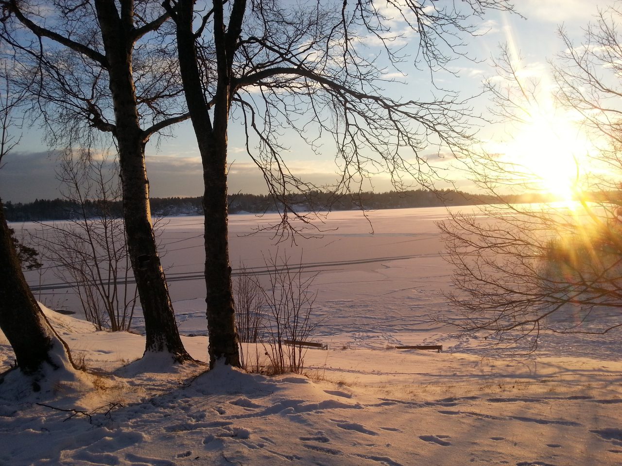 Körsångarvägen 71