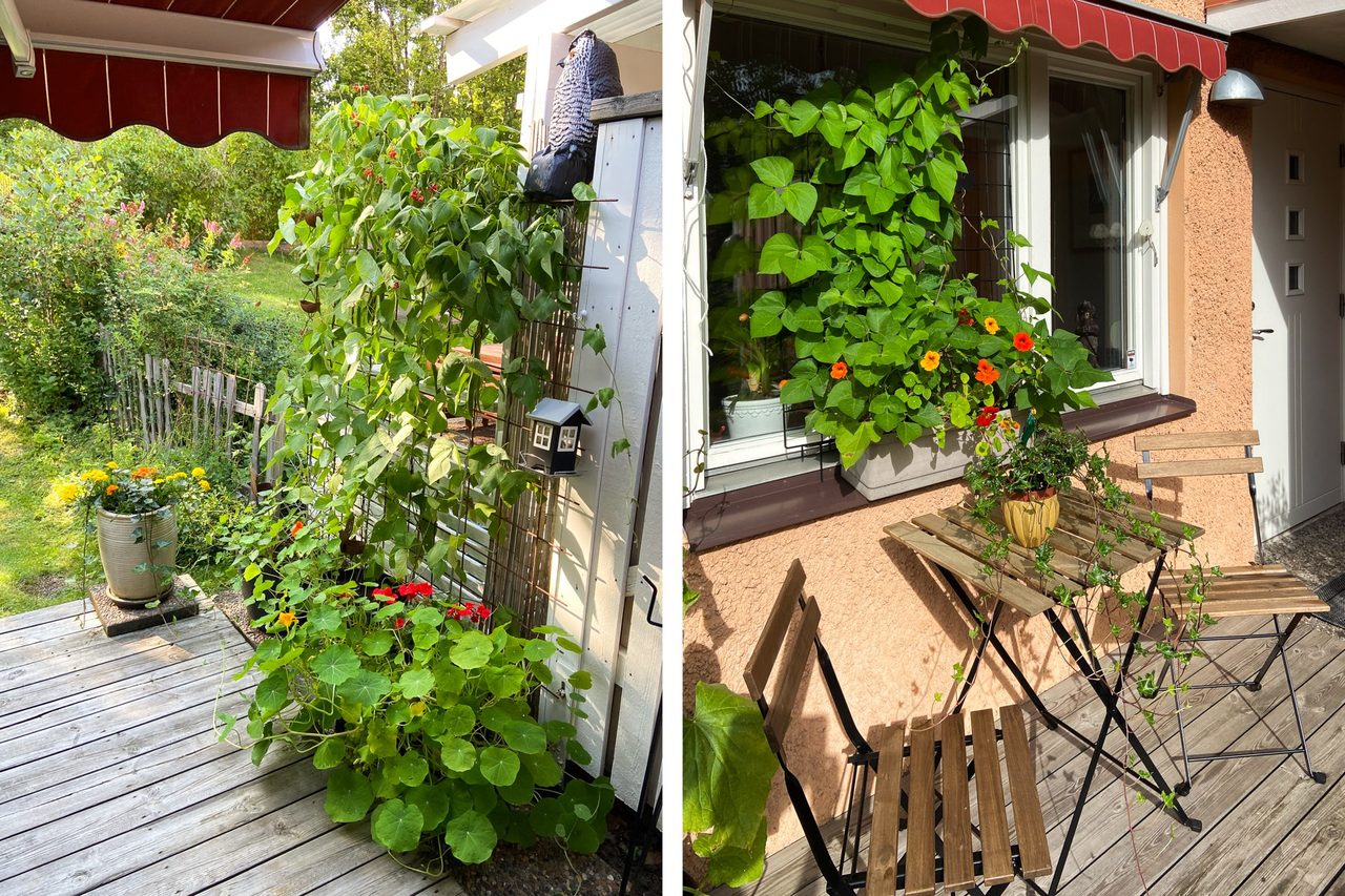 Körsångarvägen 71