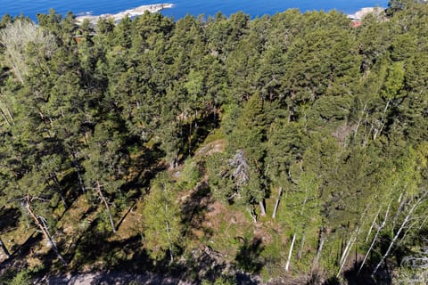 Östhammar Mårtensboda 1:37