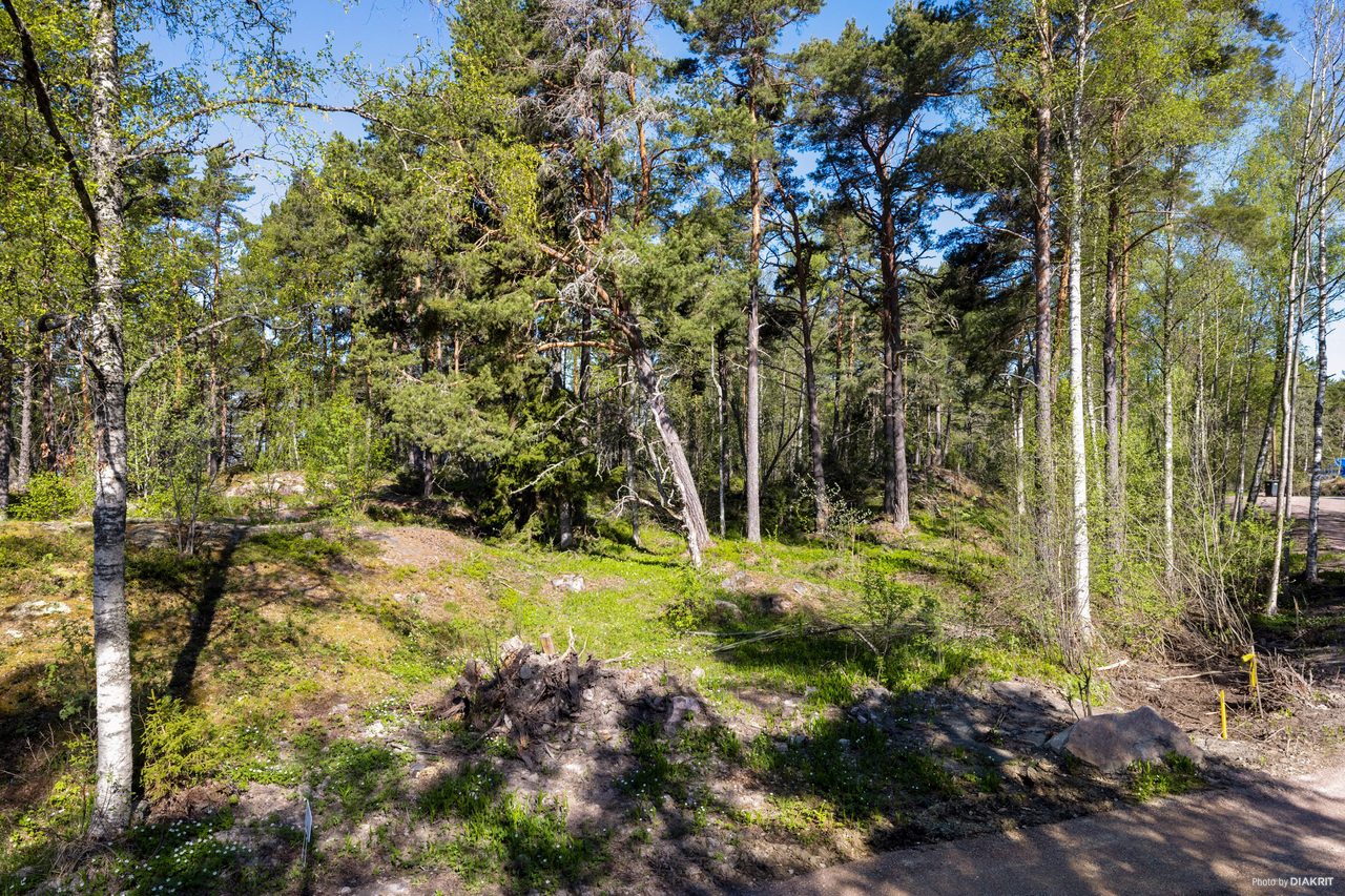 Östhammar Mårtensboda 1:38