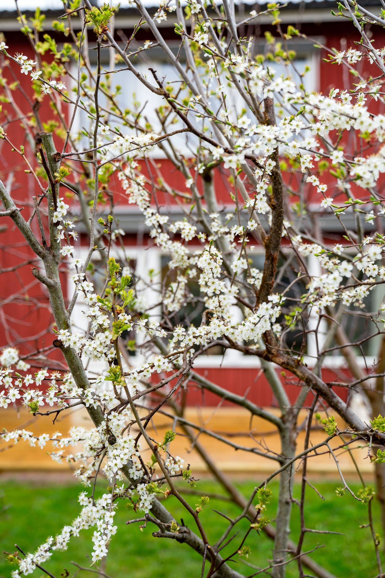 Markegångsvägen 6G