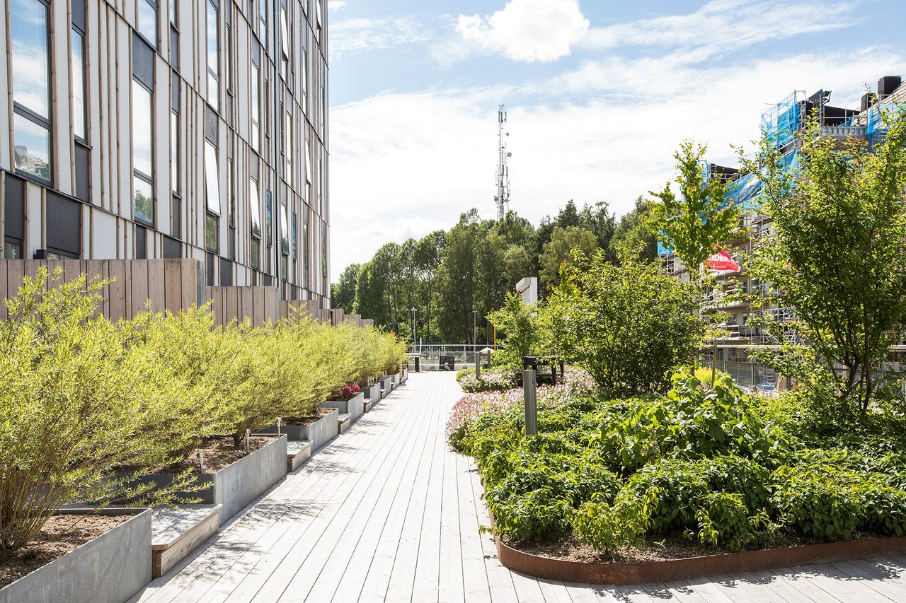 Torgny Segerstedts allé 4