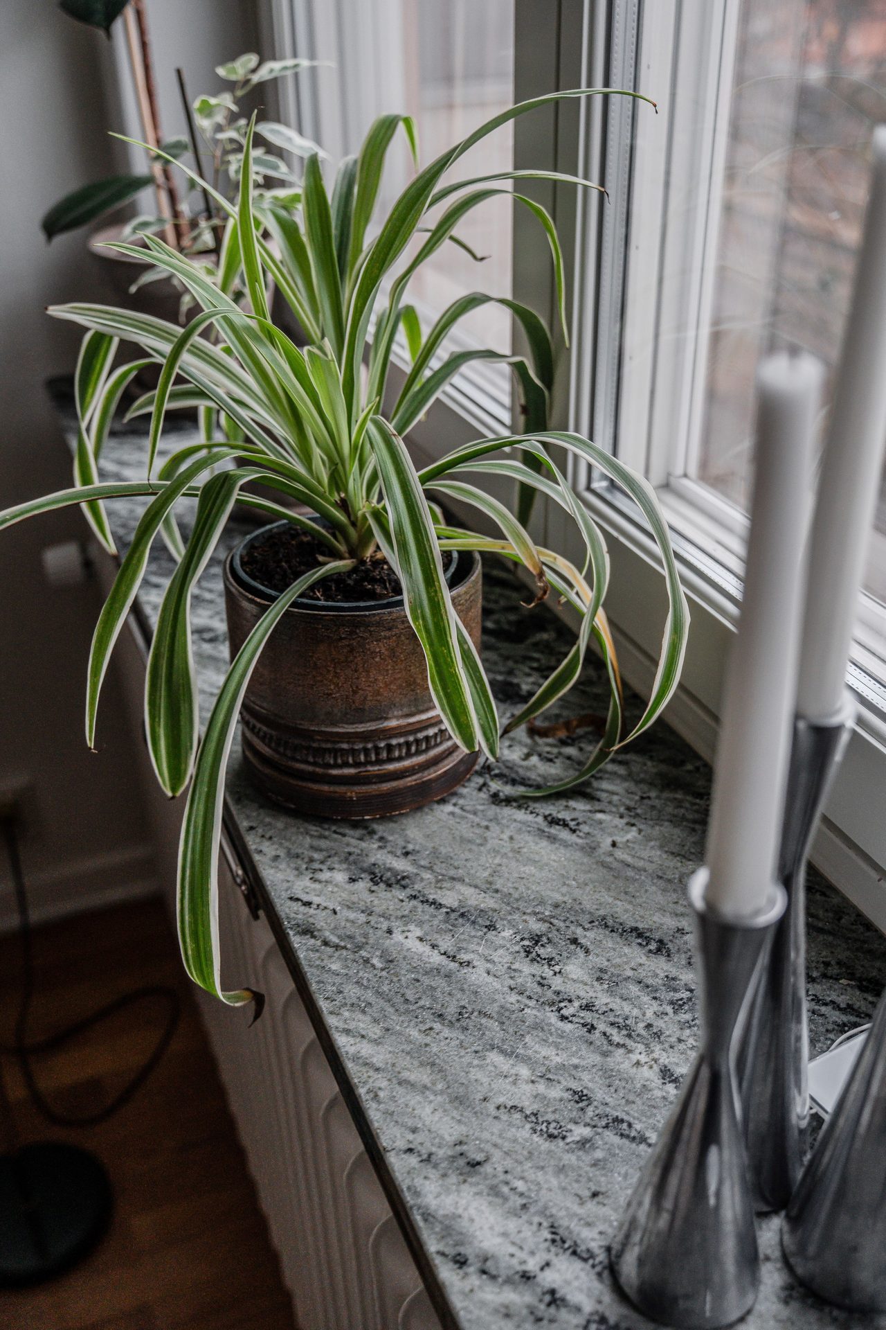 Luthagsesplanaden 34B