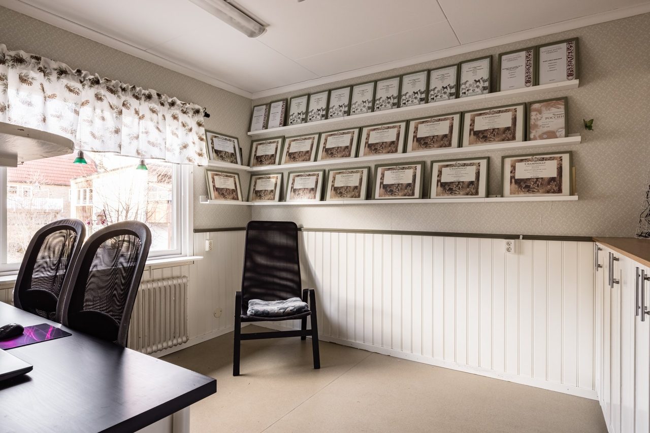 Johan Skyttes väg 303