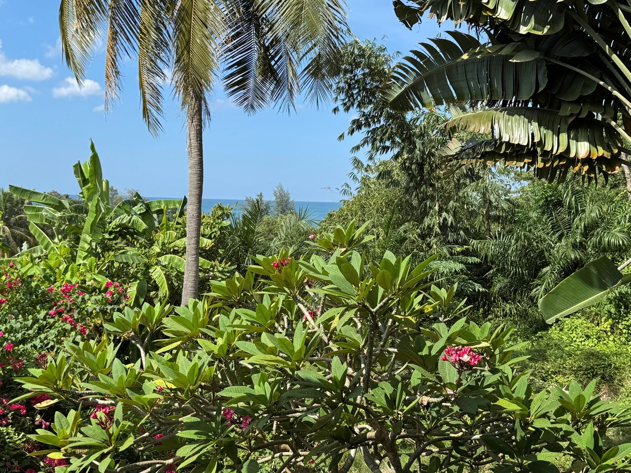 Lanta, Longbeach, White Flower apt. A2