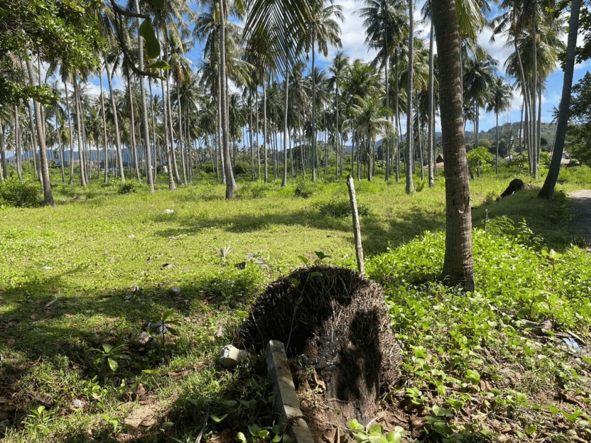 Tomt Khlong Kong 23 Rai 210 meter beach front