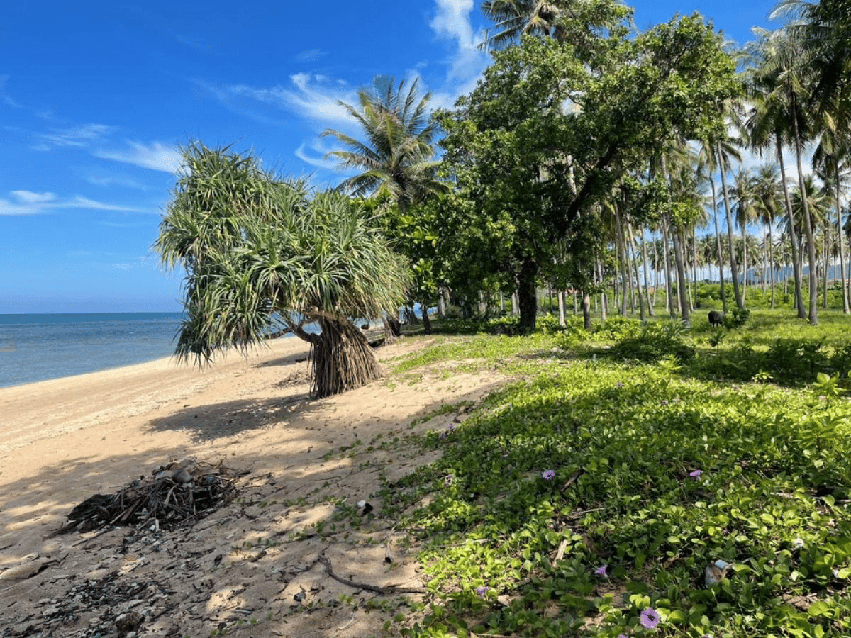 Tomt Khlong Kong 23 Rai 210 meter beach front