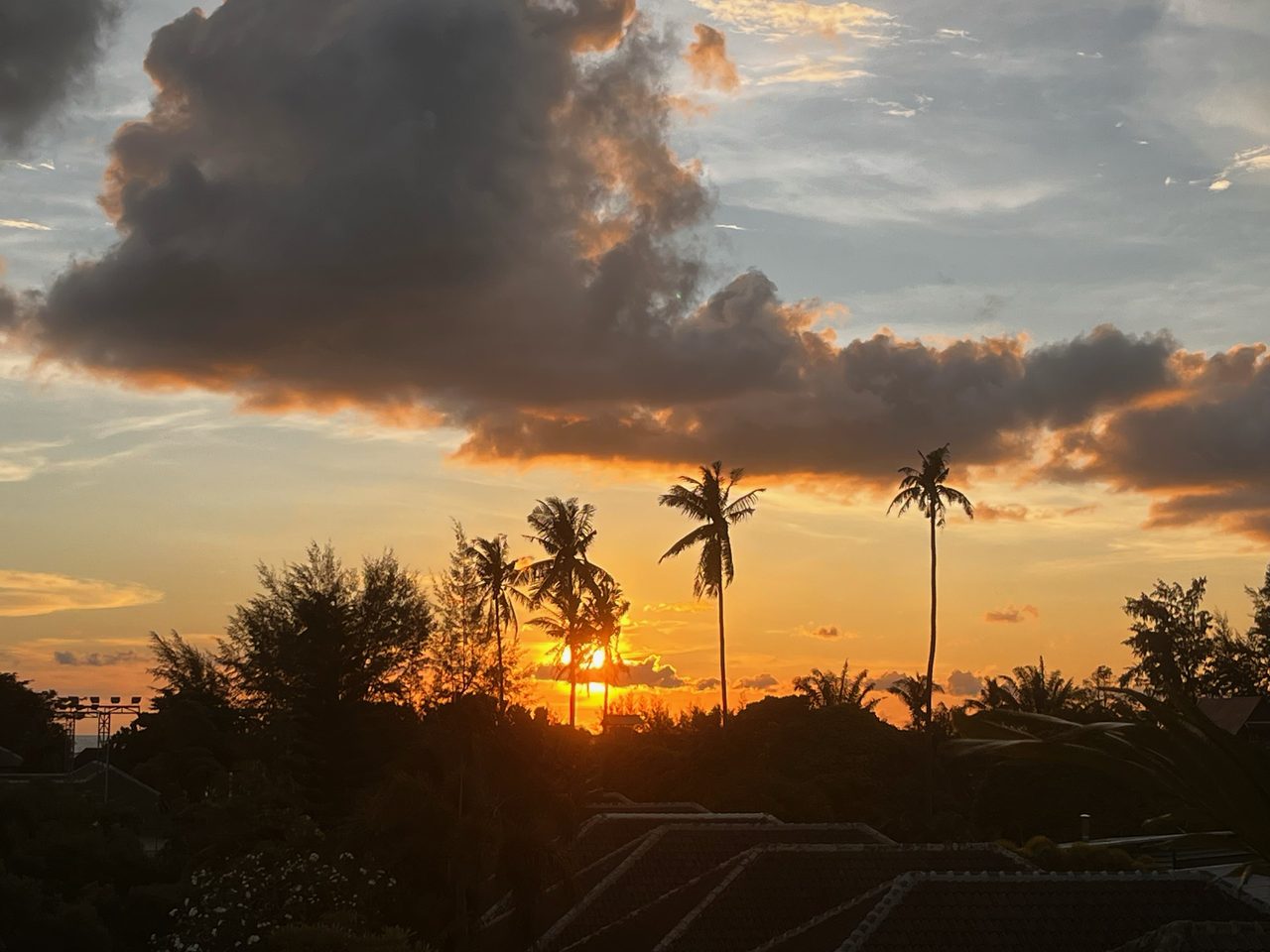 sunset