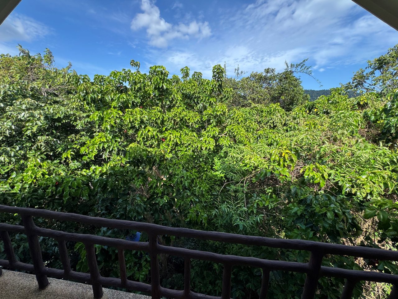 Top of the hill, Garden Hill