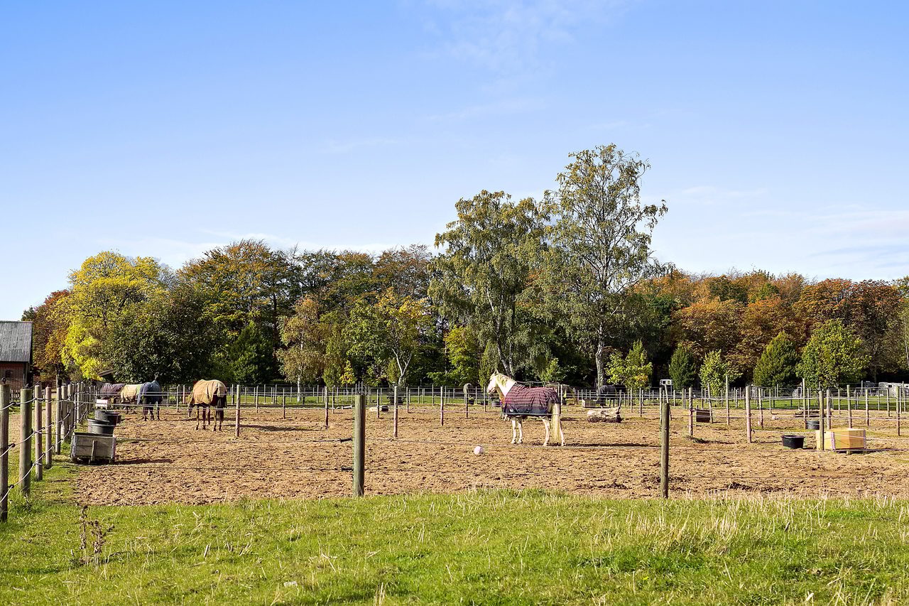 Stjärnbergagatan 55