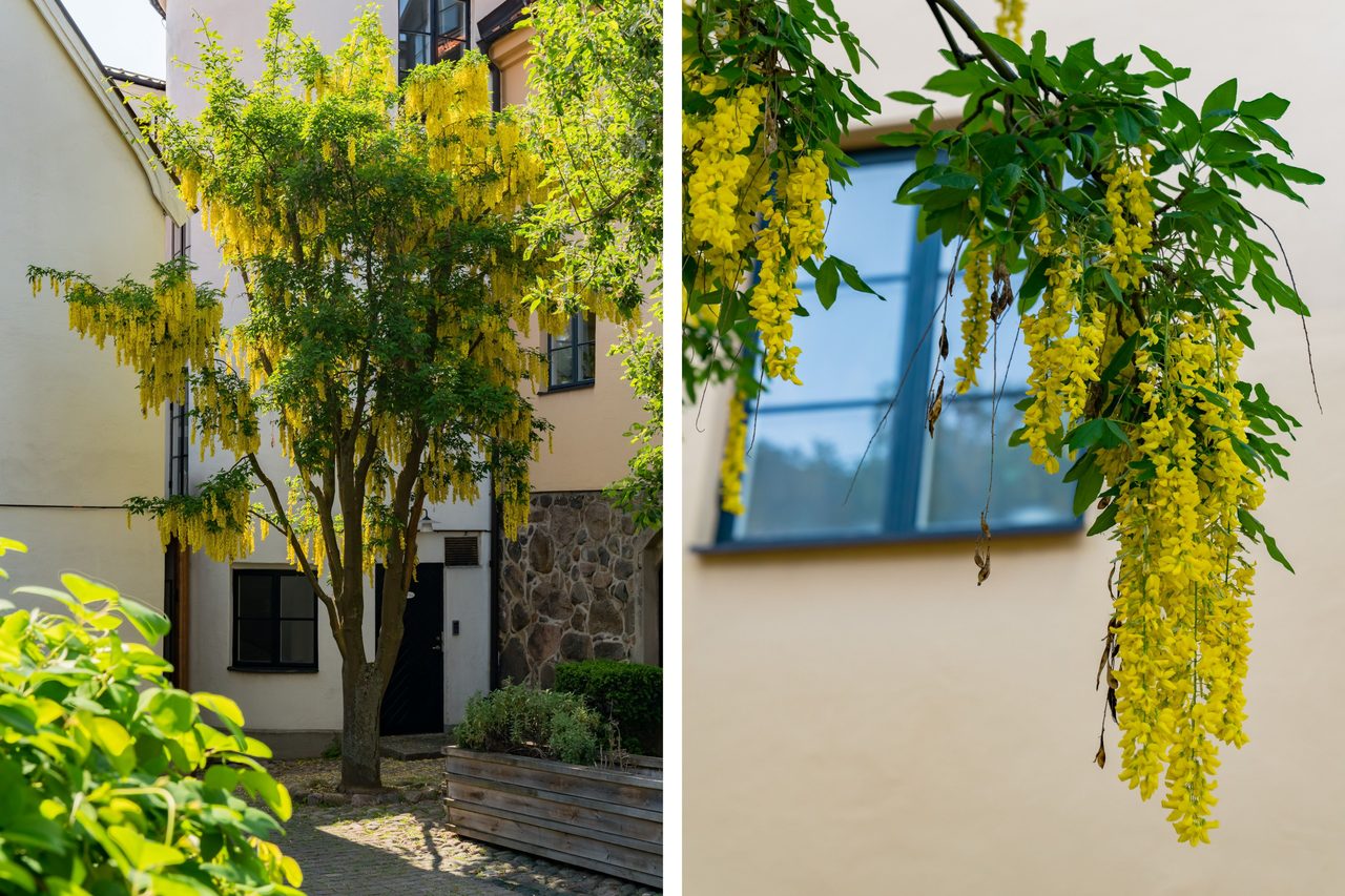 Nedre långvinkelsgatan 8