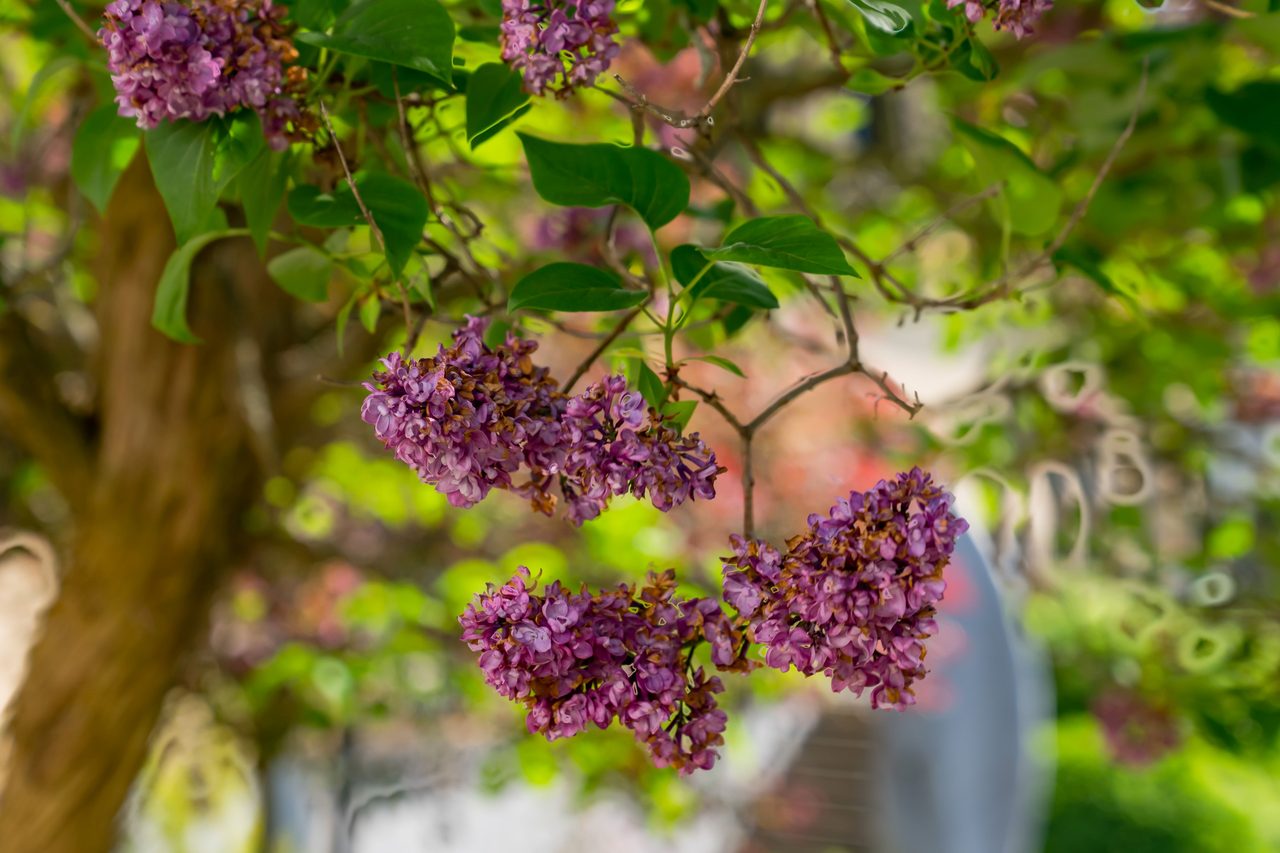 Nedre långvinkelsgatan 8