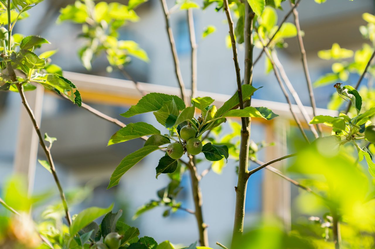 Ringstorpsvägen 38D